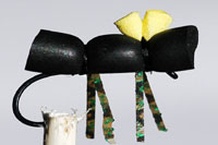 Foam beetle